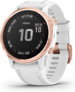 Garmin Fenix 6, Premium Multisport GPS Smartwatch, Silver With Black Band AU ™ - Image 25
