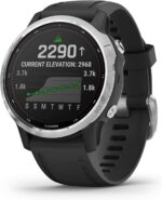 Garmin Fenix 6X Pro, Premium Multisport GPS Watch, Features Mapping, Music, Grade-Adjusted Pace Monitoring and Pulse Ox Sensors, Black with Black Band AU ™ - Image 35